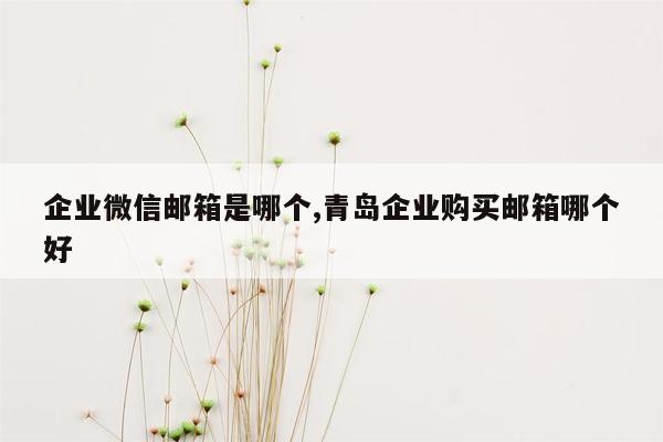 企业微信邮箱是哪个,青岛企业购买邮箱哪个好