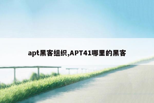 apt黑客组织,APT41哪里的黑客