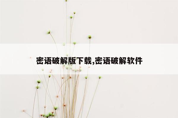 密语破解版下载,密语破解软件