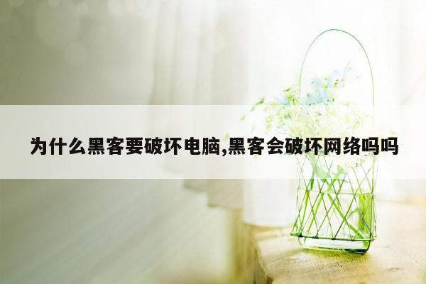 为什么黑客要破坏电脑,黑客会破坏网络吗吗