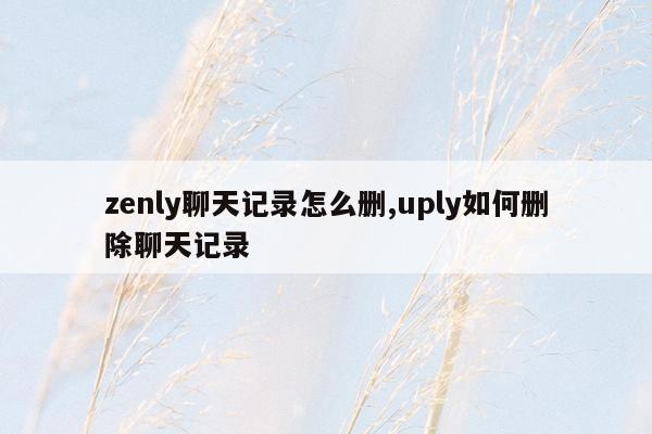 zenly聊天记录怎么删,uply如何删除聊天记录