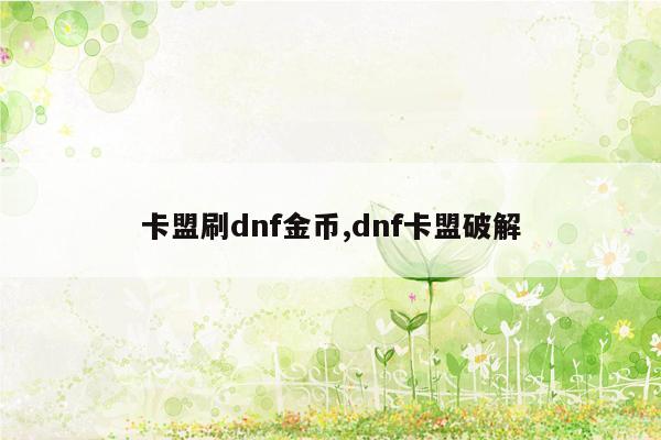 卡盟刷dnf金币,dnf卡盟破解