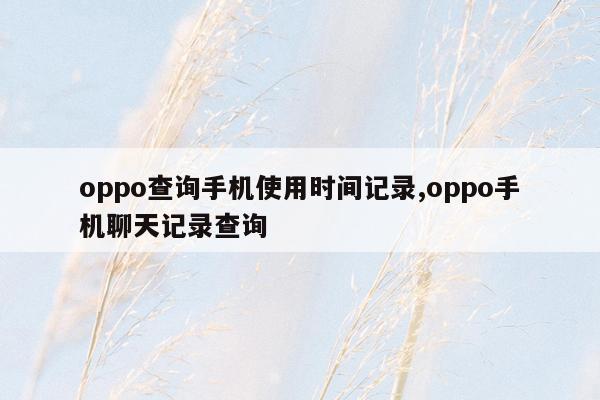 oppo查询手机使用时间记录,oppo手机聊天记录查询