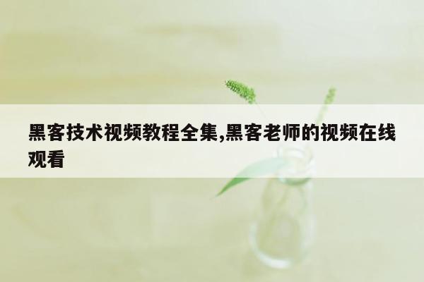 黑客技术视频教程全集,黑客老师的视频在线观看