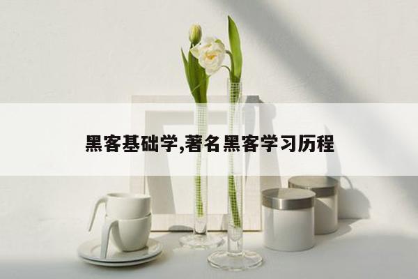 黑客基础学,著名黑客学习历程