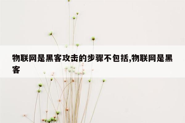 物联网是黑客攻击的步骤不包括,物联网是黑客