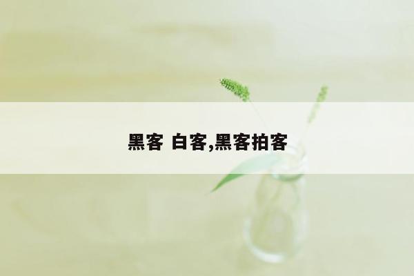 黑客 白客,黑客拍客