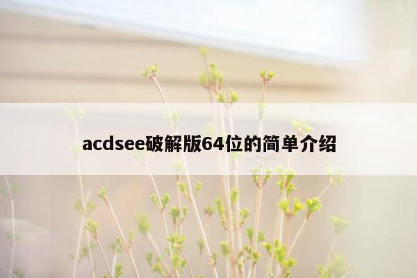 acdsee破解版64位的简单介绍