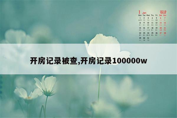 开房记录被查,开房记录100000w