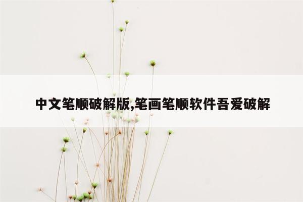 中文笔顺破解版,笔画笔顺软件吾爱破解