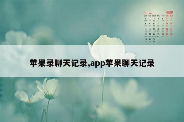 苹果录聊天记录,app苹果聊天记录