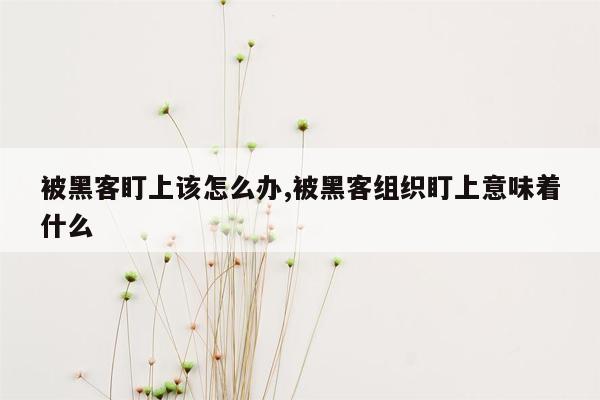 被黑客盯上该怎么办,被黑客组织盯上意味着什么