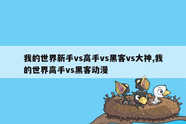 我的世界新手vs高手vs黑客vs大神,我的世界高手vs黑客动漫