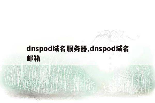 dnspod域名服务器,dnspod域名邮箱