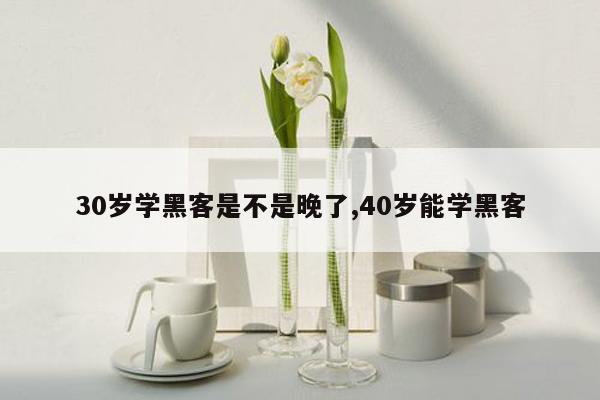 30岁学黑客是不是晚了,40岁能学黑客