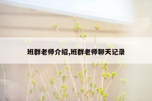 班群老师介绍,班群老师聊天记录