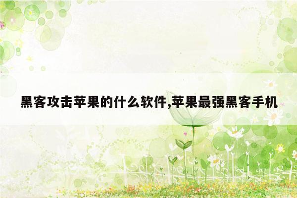 黑客攻击苹果的什么软件,苹果最强黑客手机