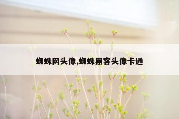 蜘蛛网头像,蜘蛛黑客头像卡通