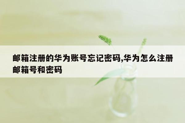 邮箱注册的华为账号忘记密码,华为怎么注册邮箱号和密码