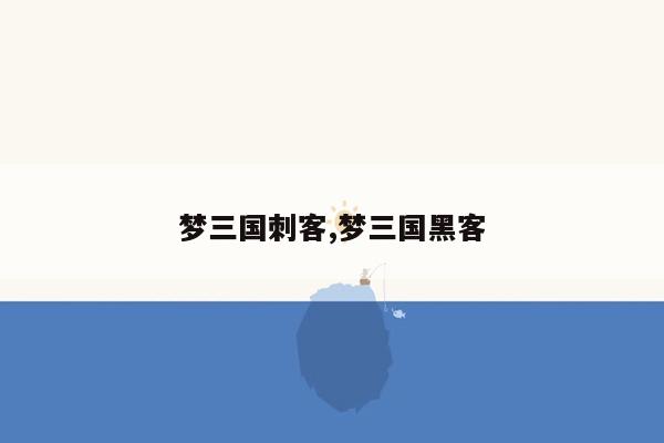 梦三国刺客,梦三国黑客