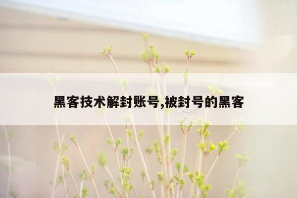 黑客技术解封账号,被封号的黑客