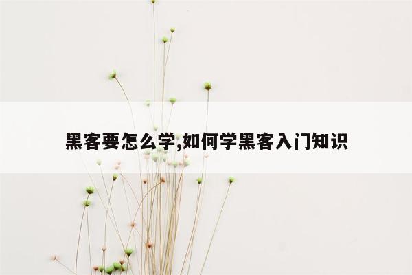 黑客要怎么学,如何学黑客入门知识