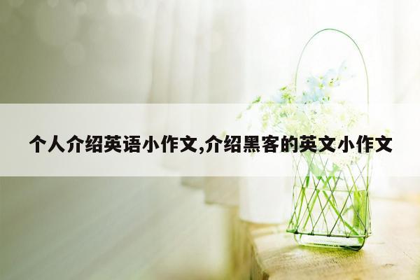 个人介绍英语小作文,介绍黑客的英文小作文