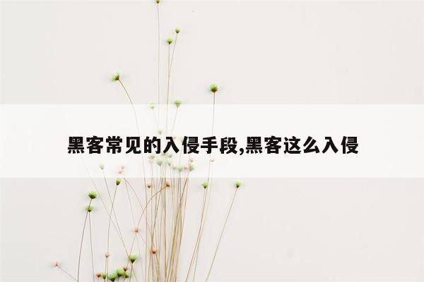 黑客常见的入侵手段,黑客这么入侵