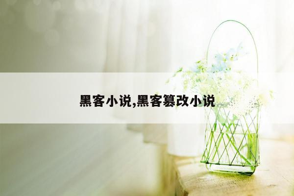 黑客小说,黑客篡改小说