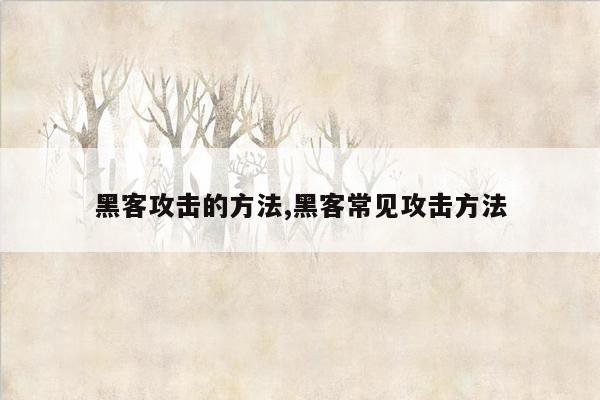 黑客攻击的方法,黑客常见攻击方法