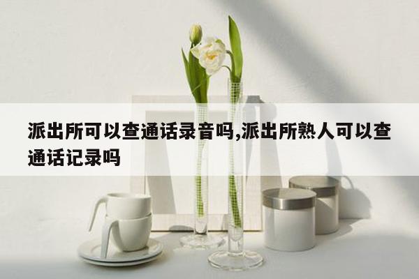 派出所可以查通话录音吗,派出所熟人可以查通话记录吗