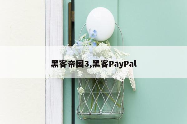 黑客帝国3,黑客PayPal