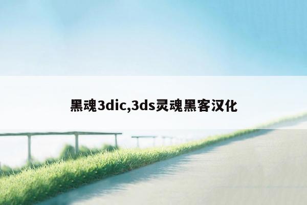 黑魂3dic,3ds灵魂黑客汉化