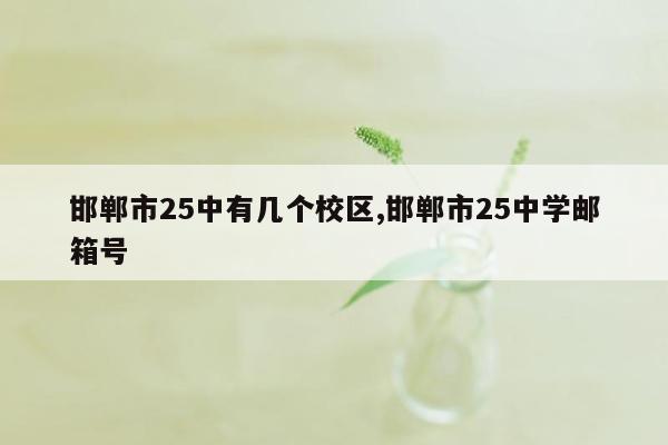 邯郸市25中有几个校区,邯郸市25中学邮箱号