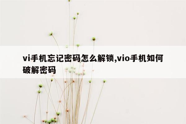 vi手机忘记密码怎么解锁,vio手机如何破解密码