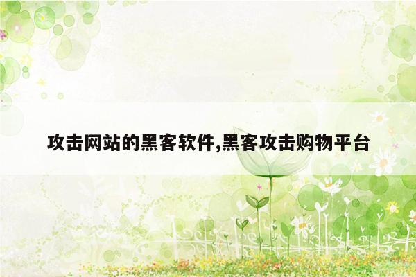 攻击网站的黑客软件,黑客攻击购物平台