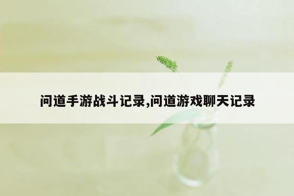 问道手游战斗记录,问道游戏聊天记录