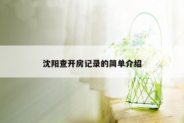 沈阳查开房记录的简单介绍