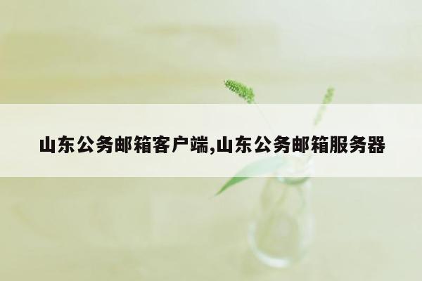 山东公务邮箱客户端,山东公务邮箱服务器