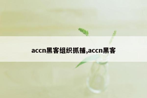 accn黑客组织抓捕,accn黑客