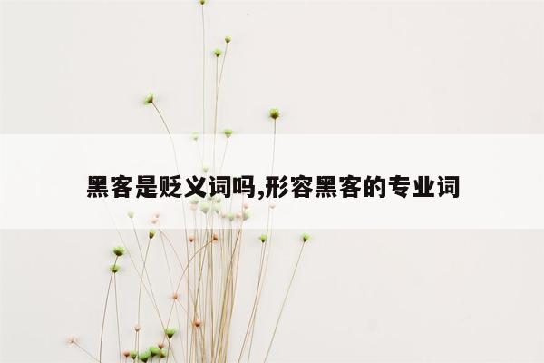 黑客是贬义词吗,形容黑客的专业词