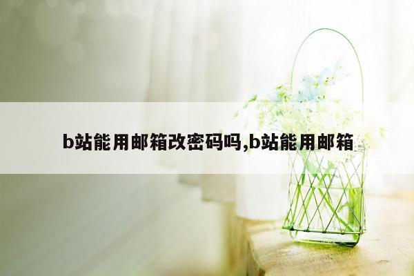 b站能用邮箱改密码吗,b站能用邮箱