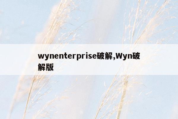 wynenterprise破解,Wyn破解版