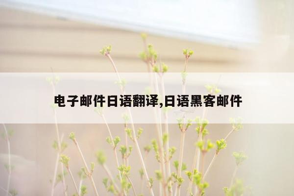 电子邮件日语翻译,日语黑客邮件