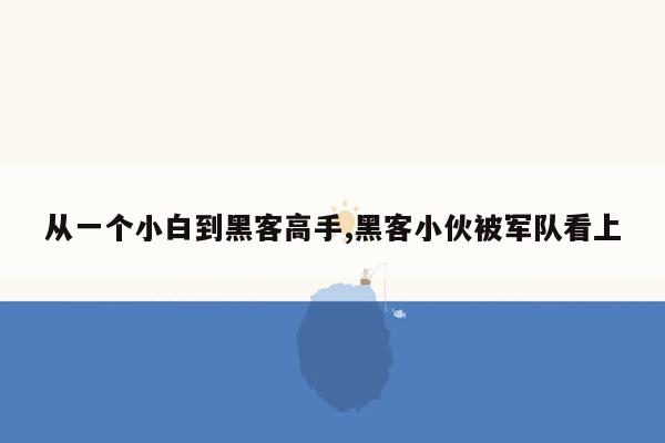 从一个小白到黑客高手,黑客小伙被军队看上