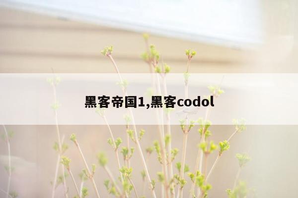 黑客帝国1,黑客codol