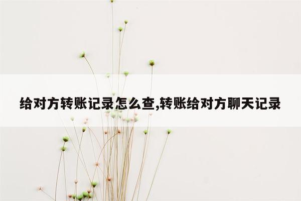 给对方转账记录怎么查,转账给对方聊天记录