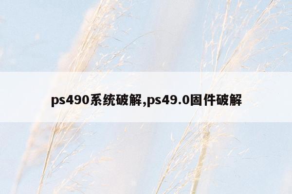 ps490系统破解,ps49.0固件破解