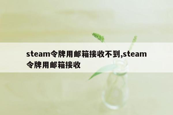 steam令牌用邮箱接收不到,steam令牌用邮箱接收