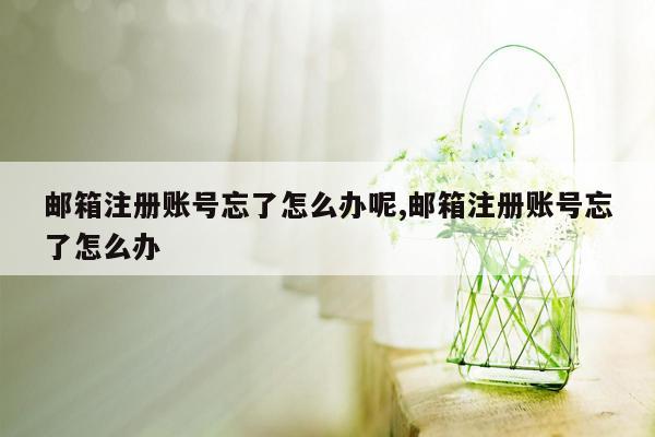 邮箱注册账号忘了怎么办呢,邮箱注册账号忘了怎么办